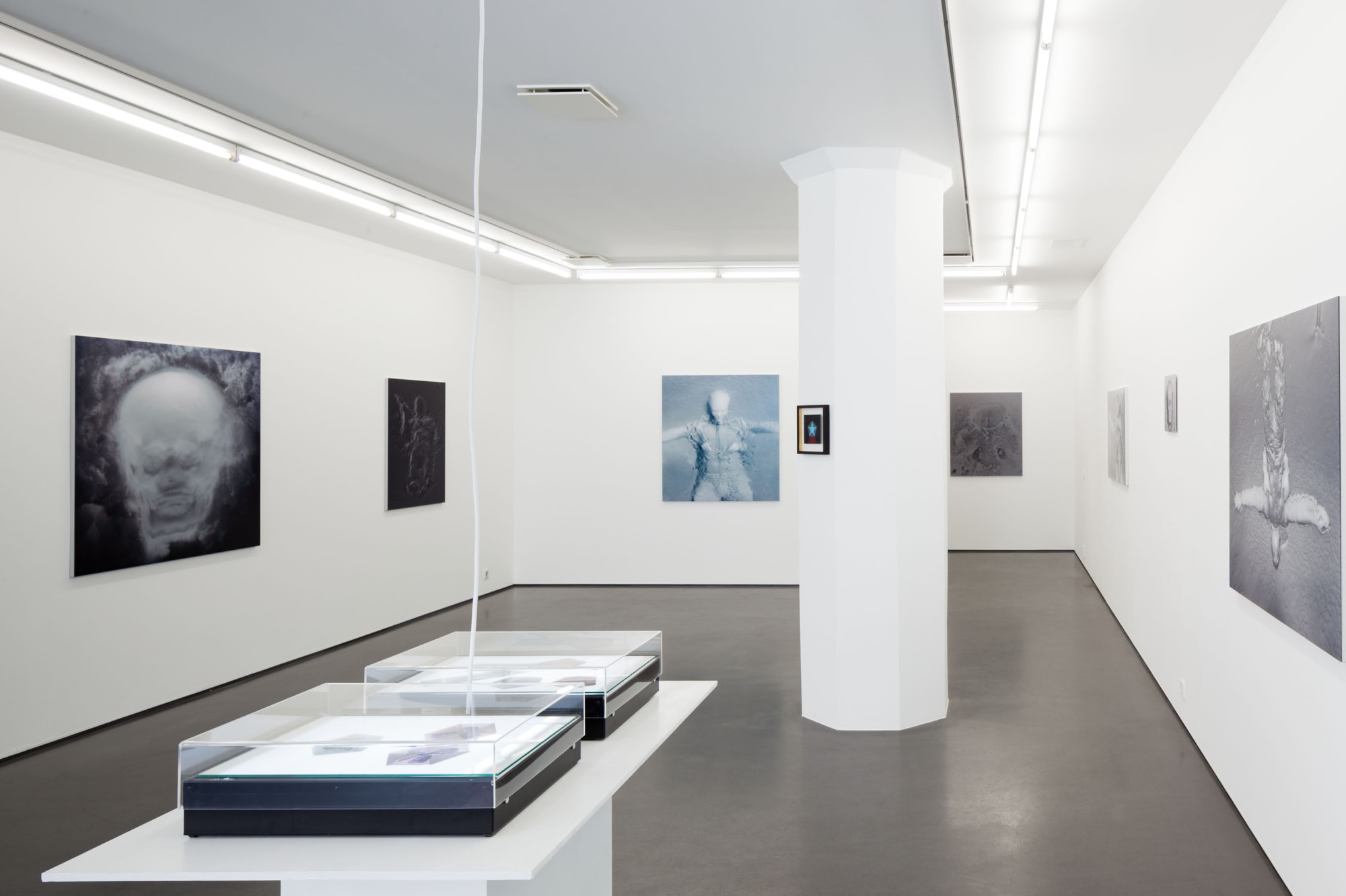 Installation view, Jean-Baptiste Béranger, Telles que sont les choses, 2013, Cecilia Hillström Gallery. Photo: Jean-Baptiste Béranger