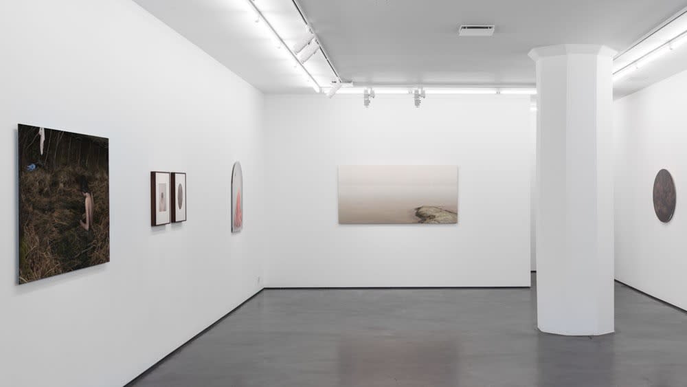 Installation view, Lovisa Ringborg, In the Belly of the Beast, 2014, Cecilia Hillström Gallery. Photo: Jean-Baptiste Béranger