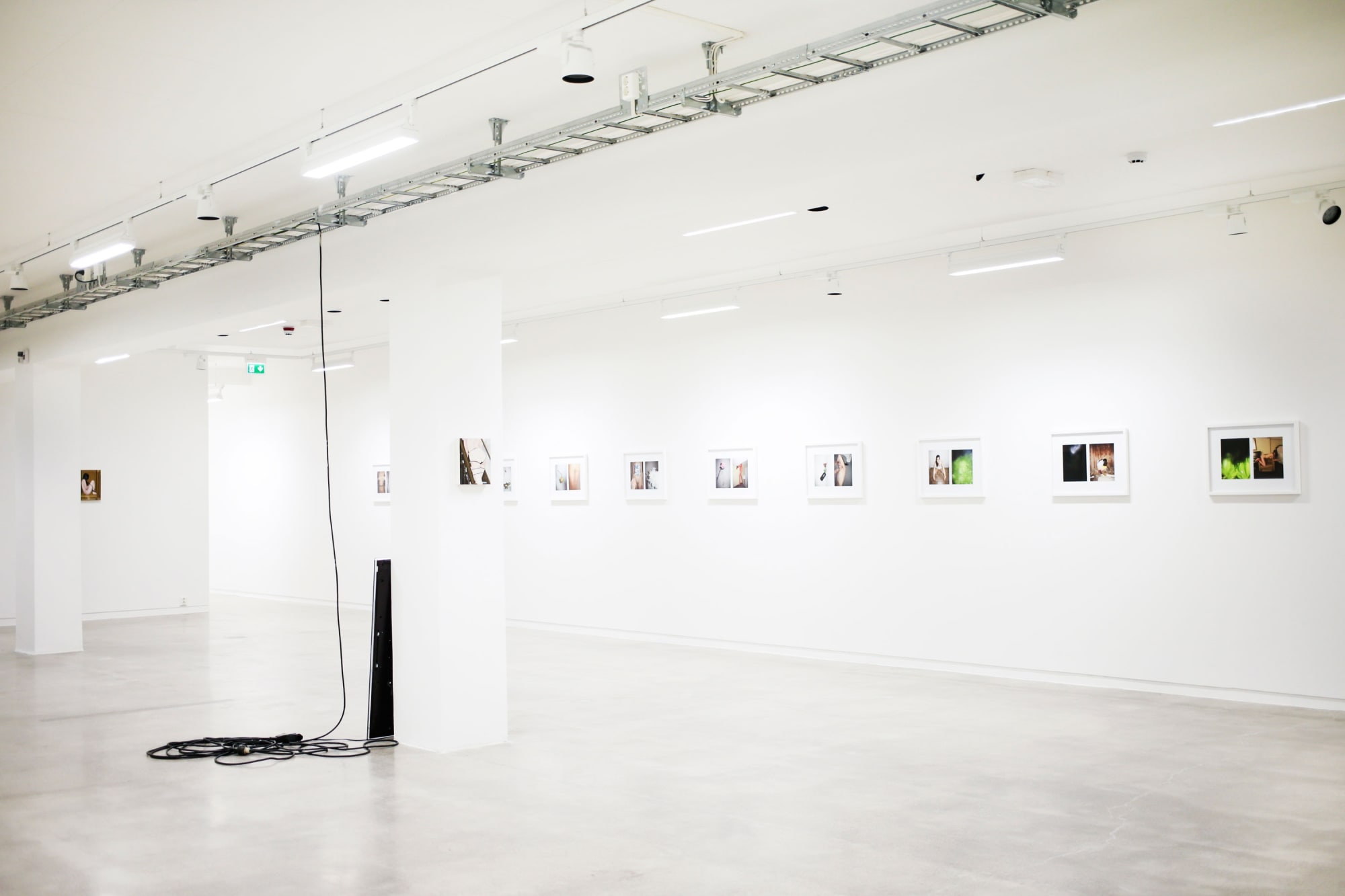 Brad Phillips, installation view, Honeymoon Rehersal, Golsa, Oslo, 2015