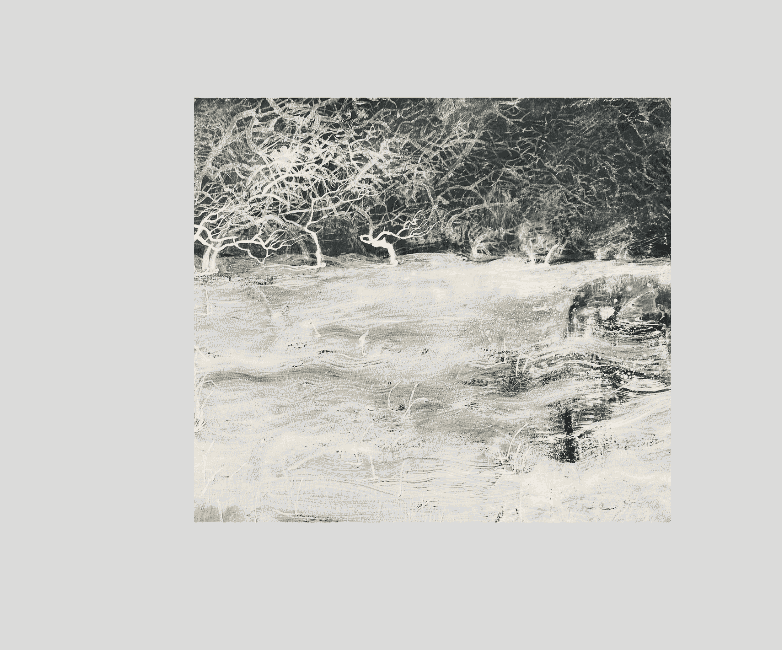 snow falling into stars 2022