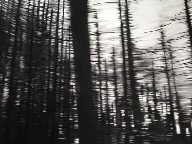 Carlijn Mens & Wieteke Heldens | Heldens & Mens