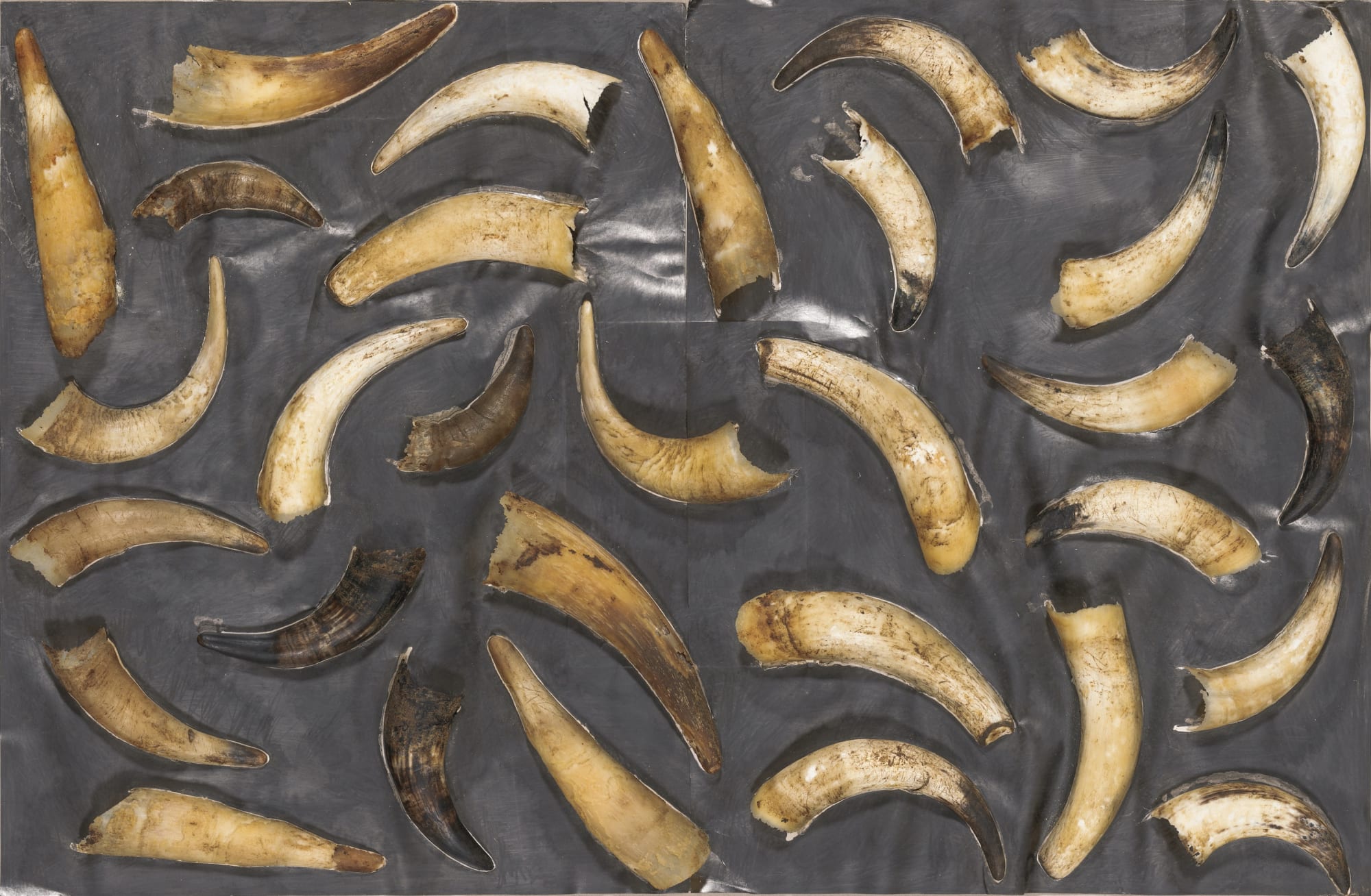 Freedom of Form | Carel Visser, the later years