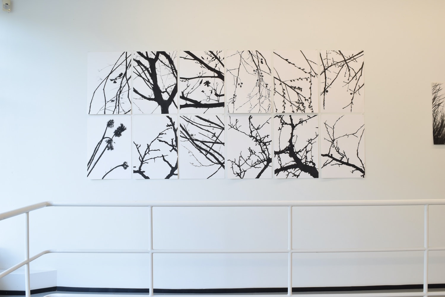 Carlijn Mens | Roadside