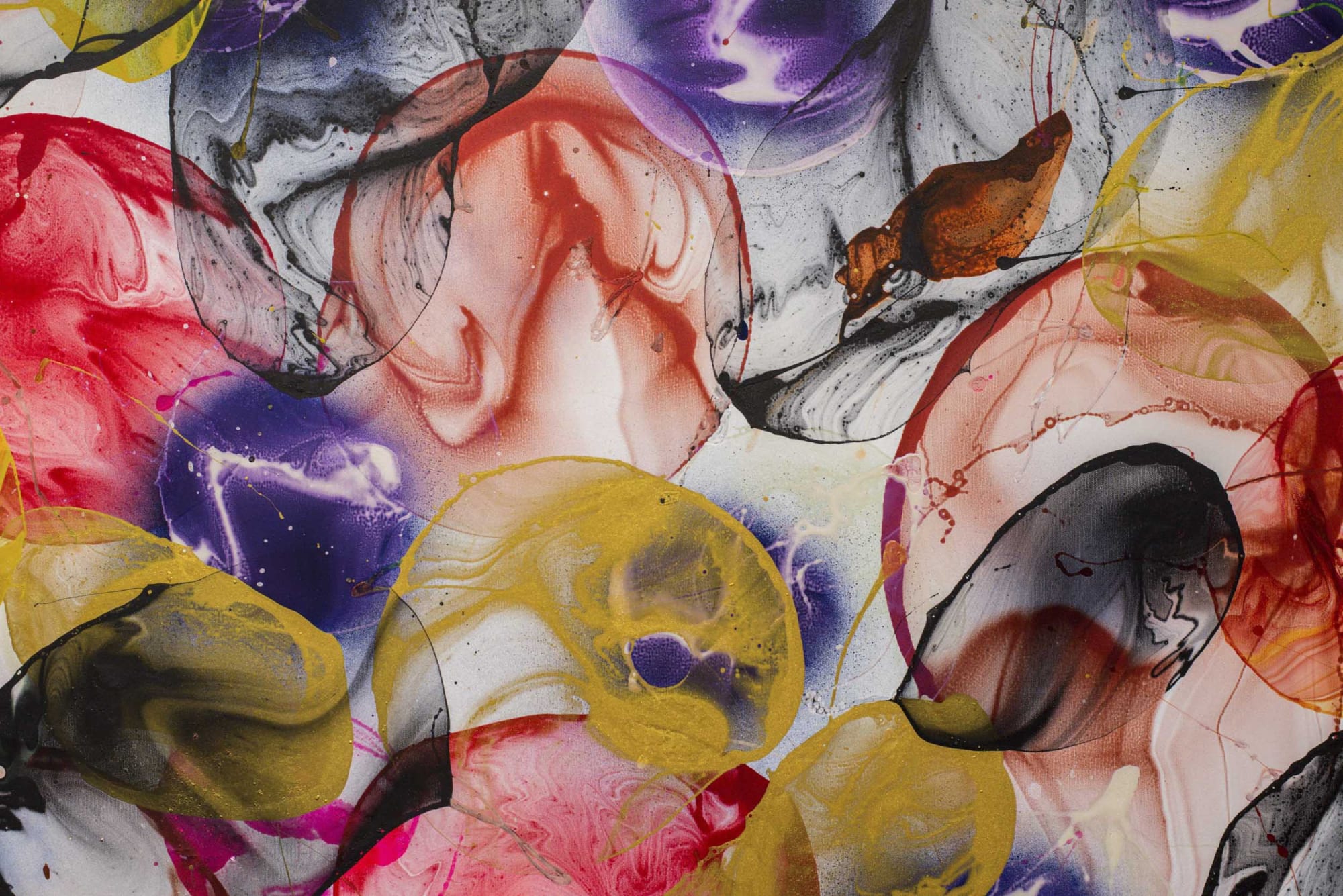 jiří GEORG DOKOUPIL