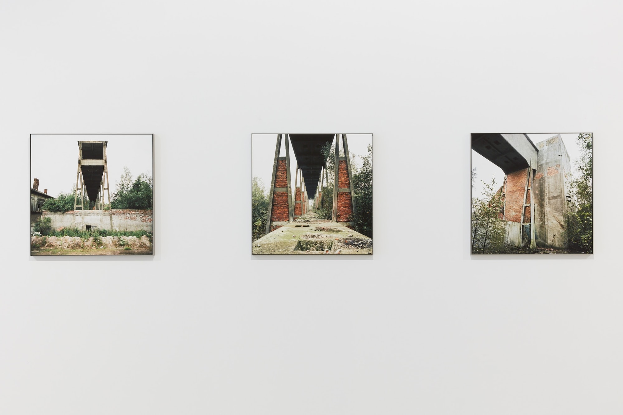 luc deleu & t.o.p. office