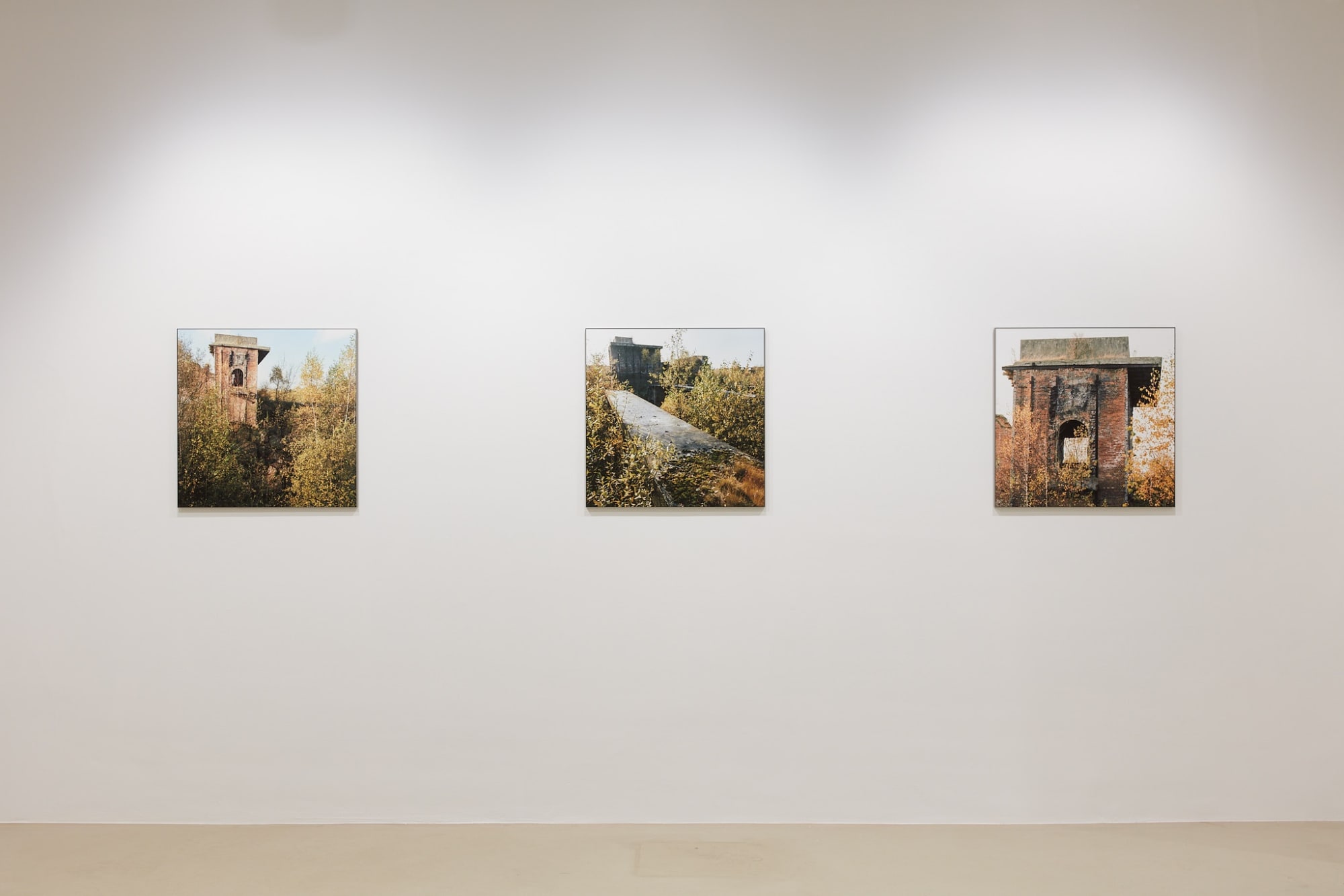 luc deleu & t.o.p. office