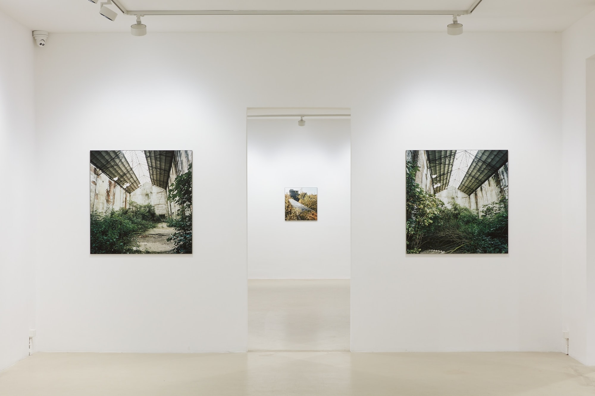 luc deleu & t.o.p. office