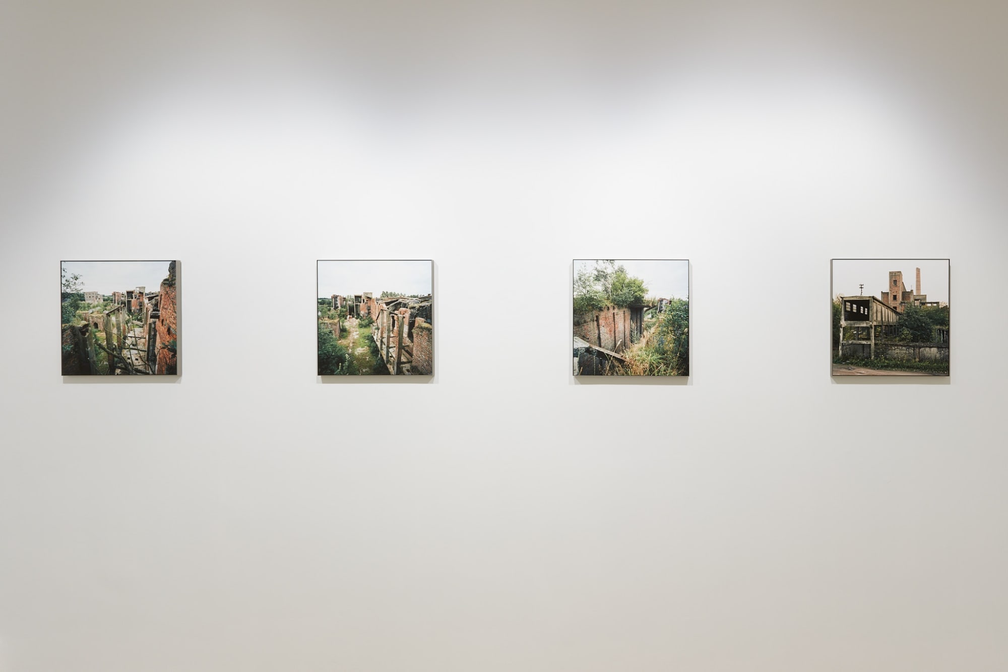 luc deleu & t.o.p. office