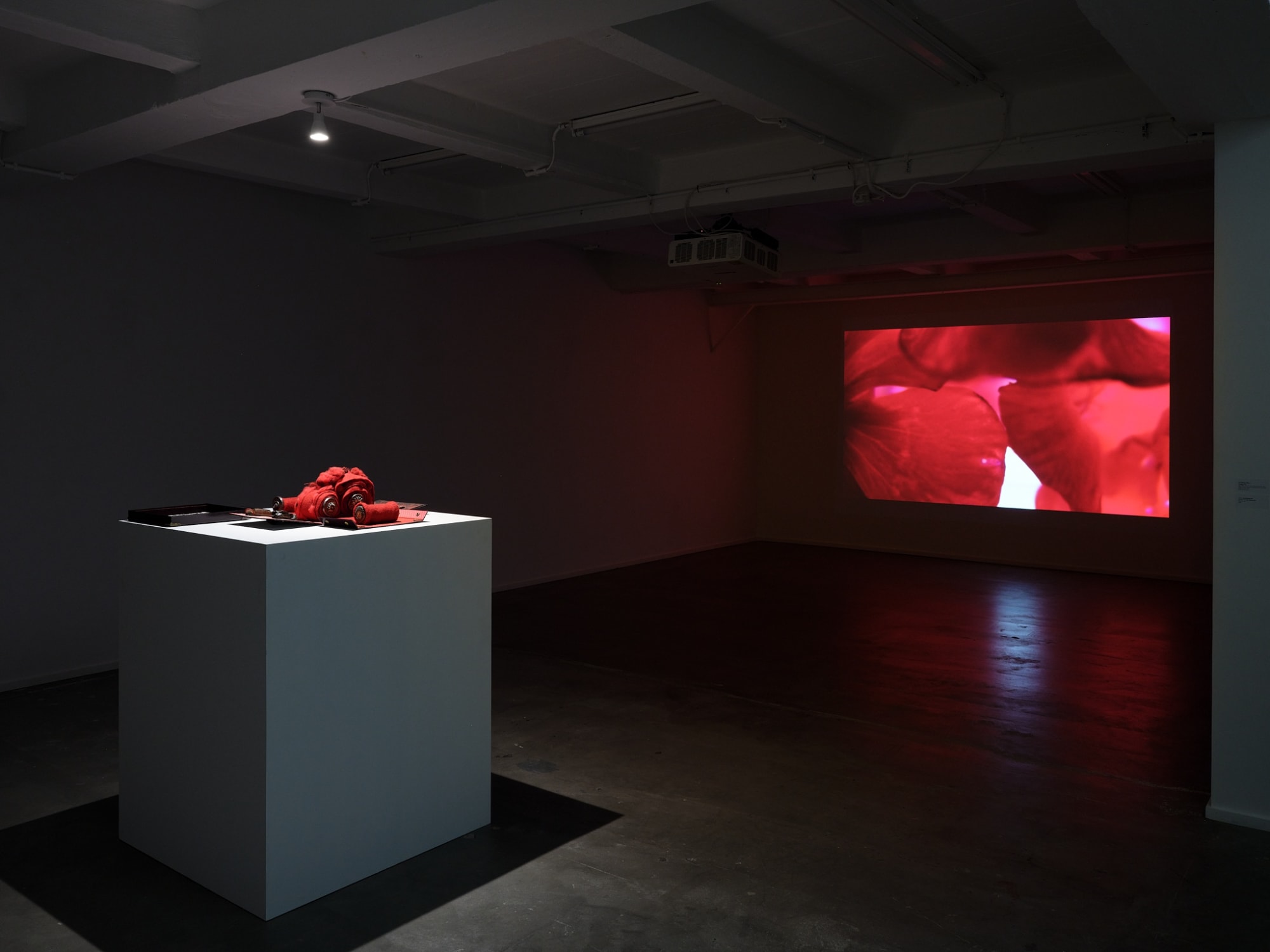 ricardo brey & lois weinberger