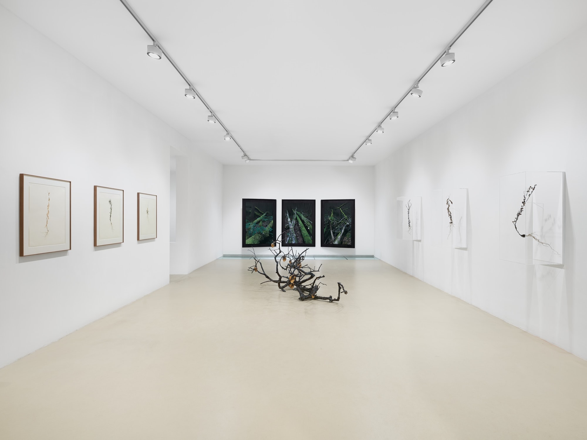 Javier Pérez: Still Life
