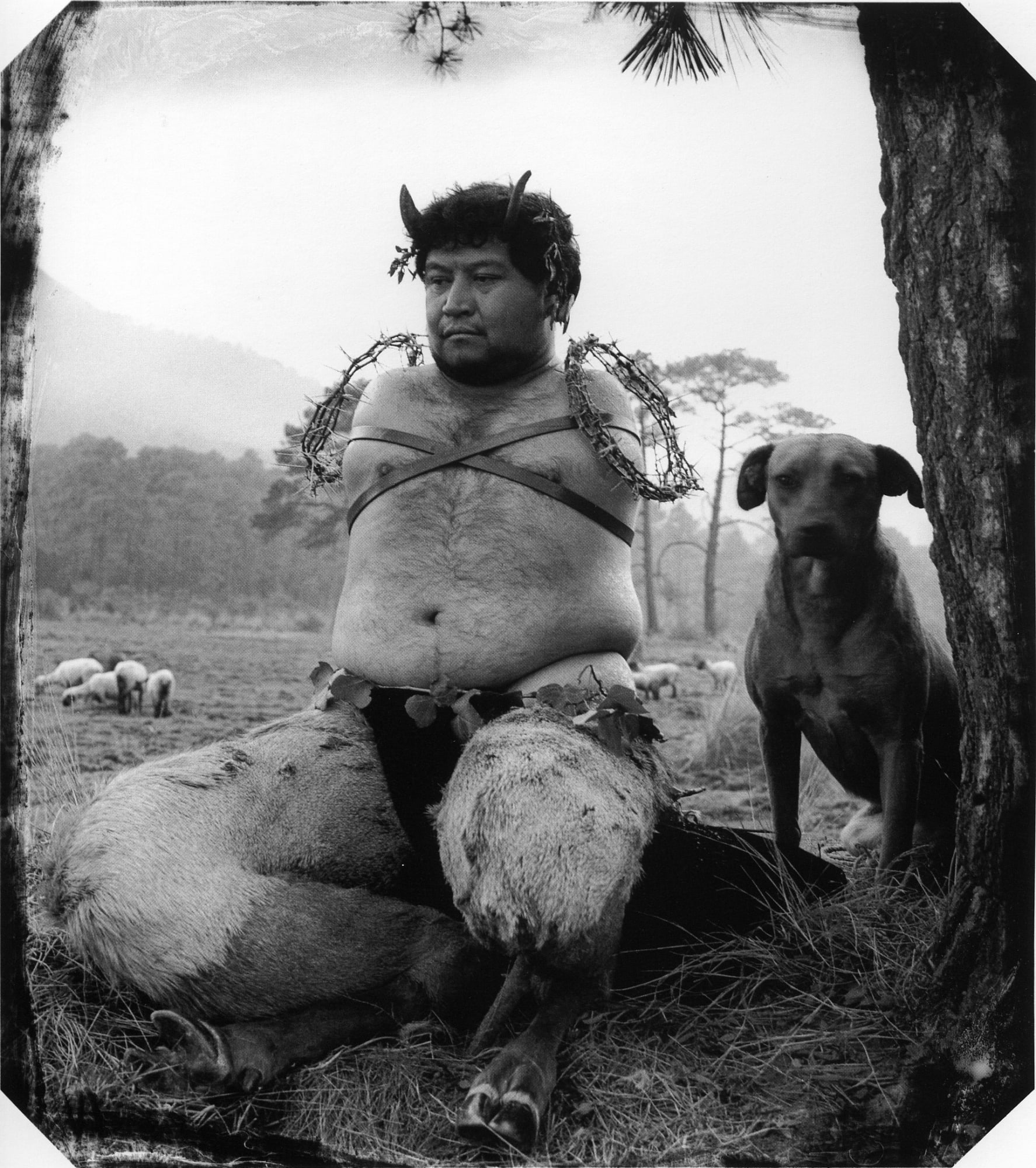 JOEL-PETER WITKIN | SPLENDOR & MISERY