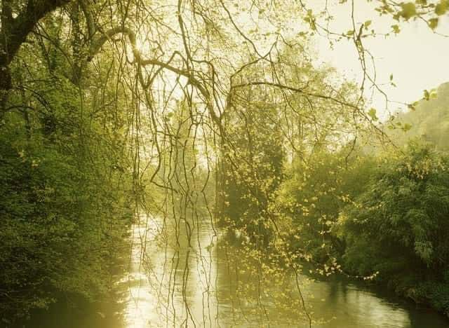 20th Anniversary Exhibition