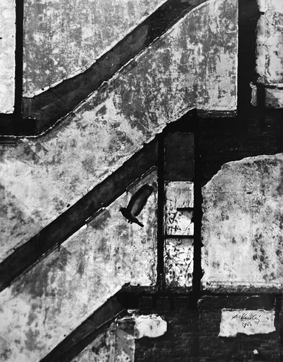 20th Anniversary Exhibition