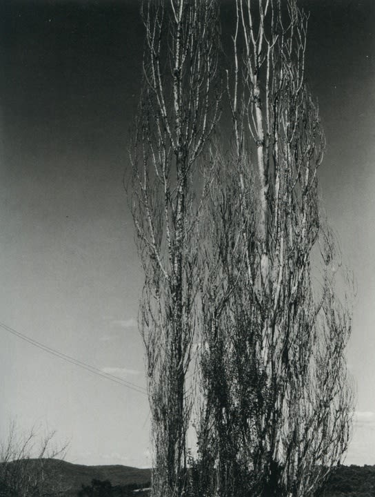 20th Anniversary Exhibition