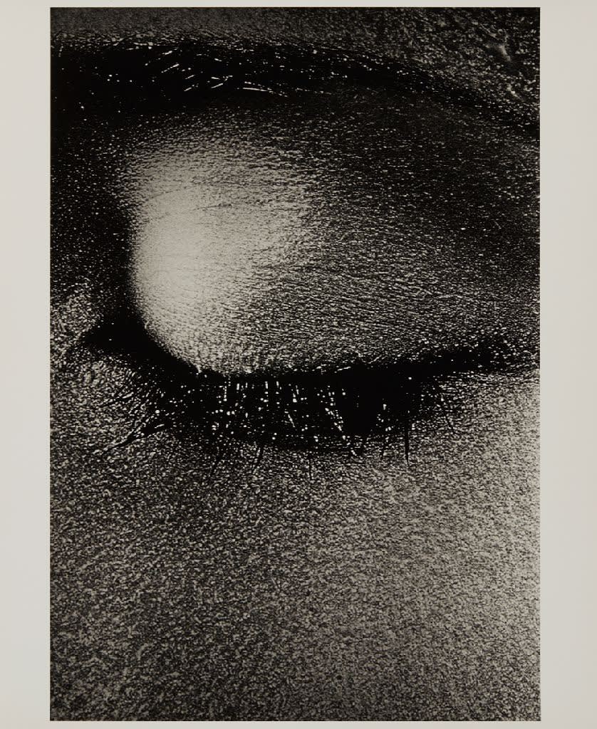 20th Anniversary Exhibition