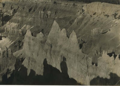 20th Anniversary Exhibition