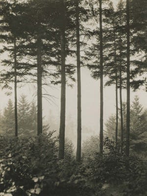 20th Anniversary Exhibition