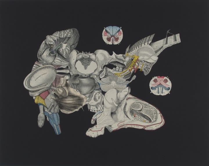 20th Anniversary Exhibition