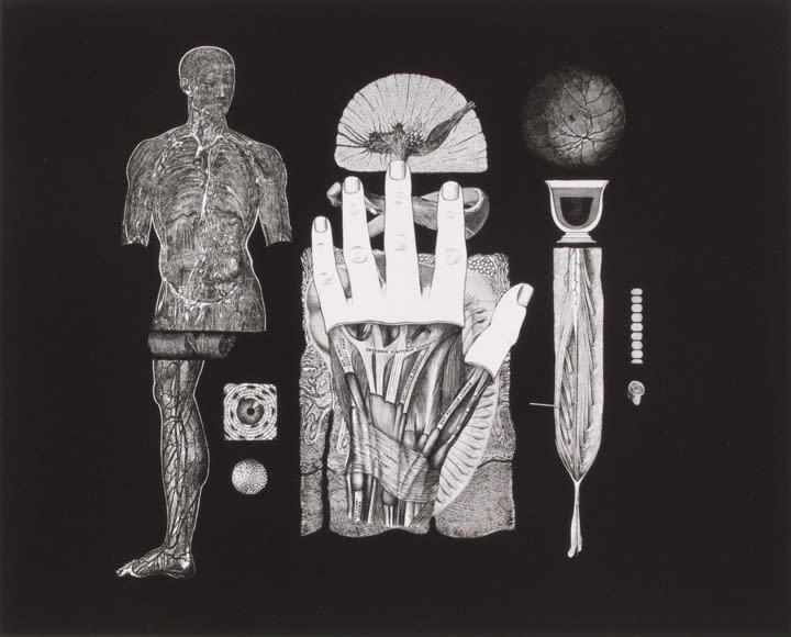 20th Anniversary Exhibition