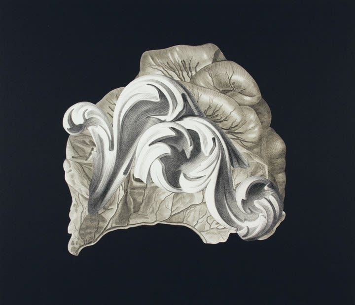 20th Anniversary Exhibition