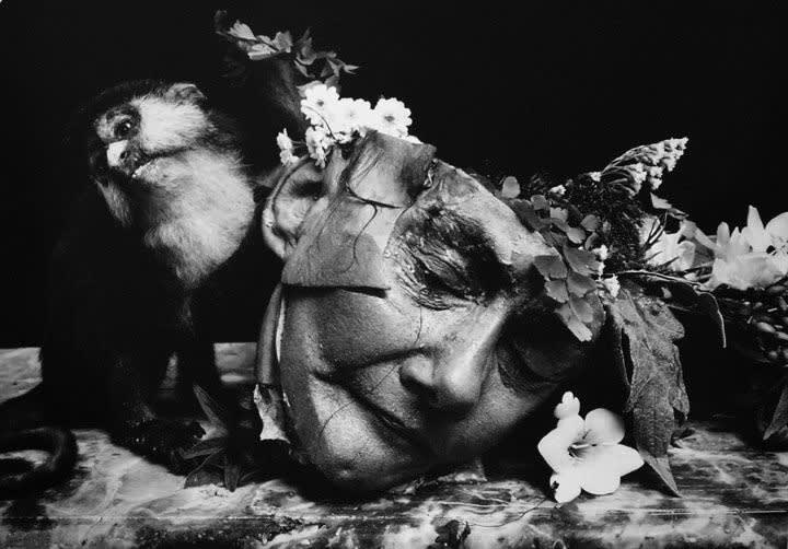 20th Anniversary Exhibition