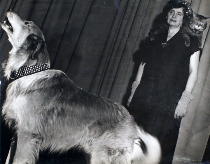 20th Anniversary Exhibition