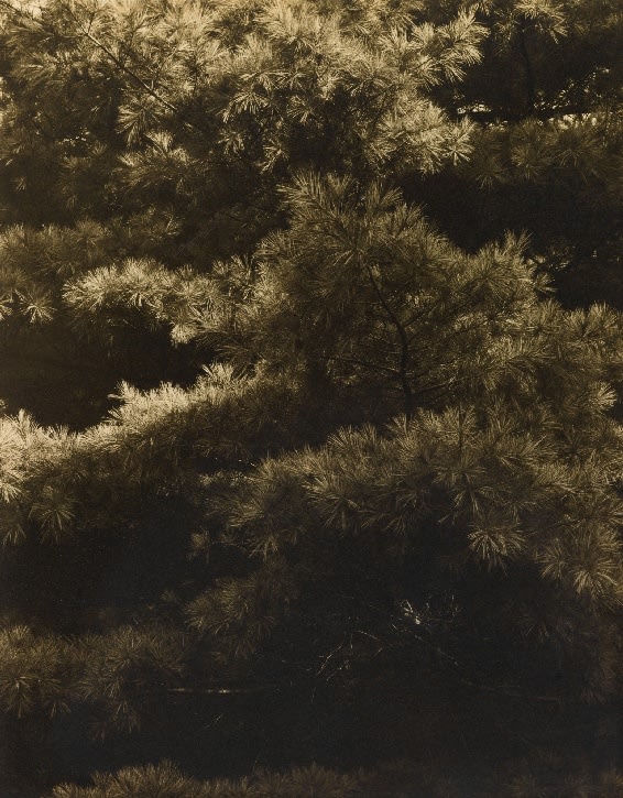 20th Anniversary Exhibition