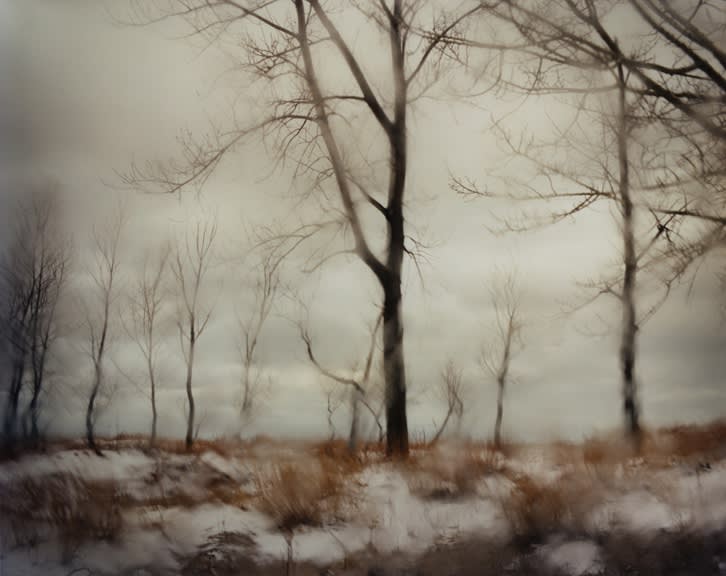 20th Anniversary Exhibition