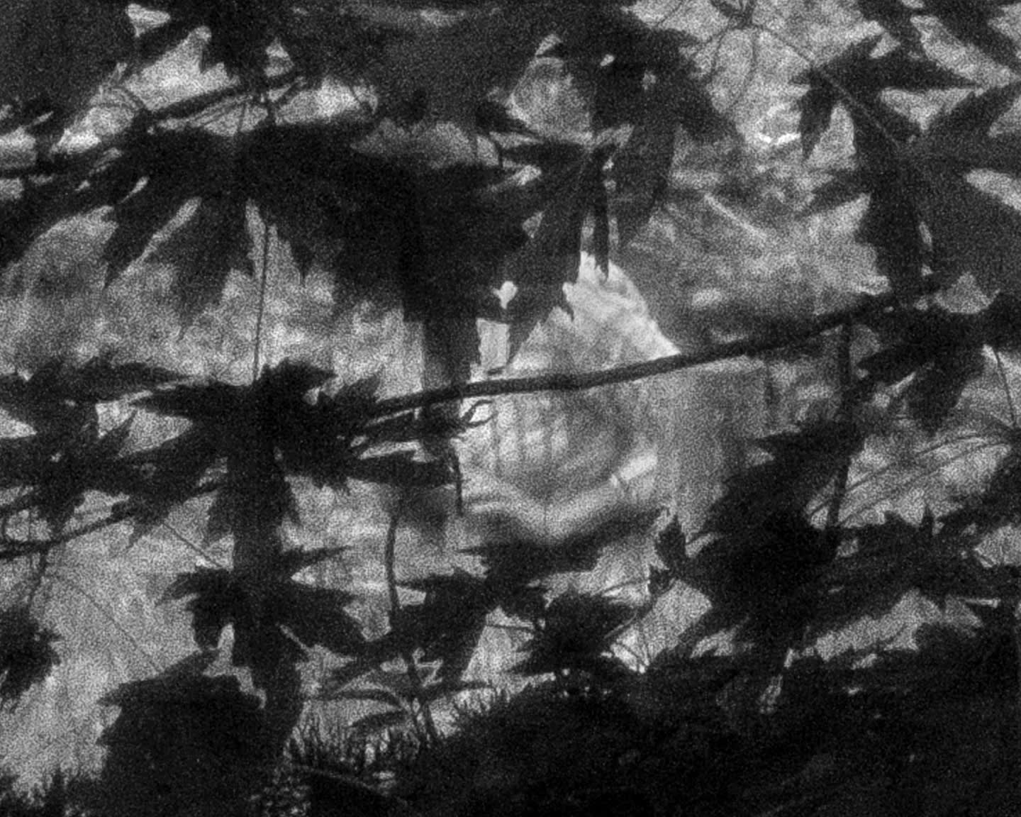 Brea Souders, End of the Road # 5, 2020 Gelatin silver print 16 x 20 in (40.6 x 50.8 cm) Edition of 5 + 2 AP