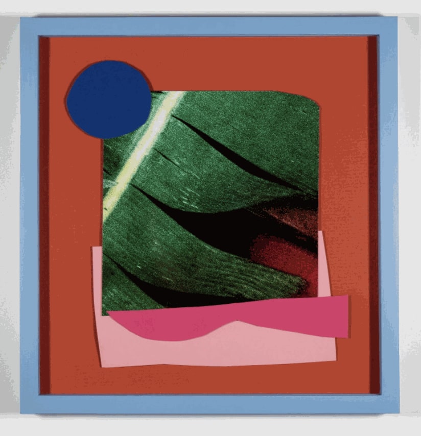 Marginal Phenomena, 2023 Photograph printed on cotton paper with color paper 8 x 6.7 in 21 x 17 cm