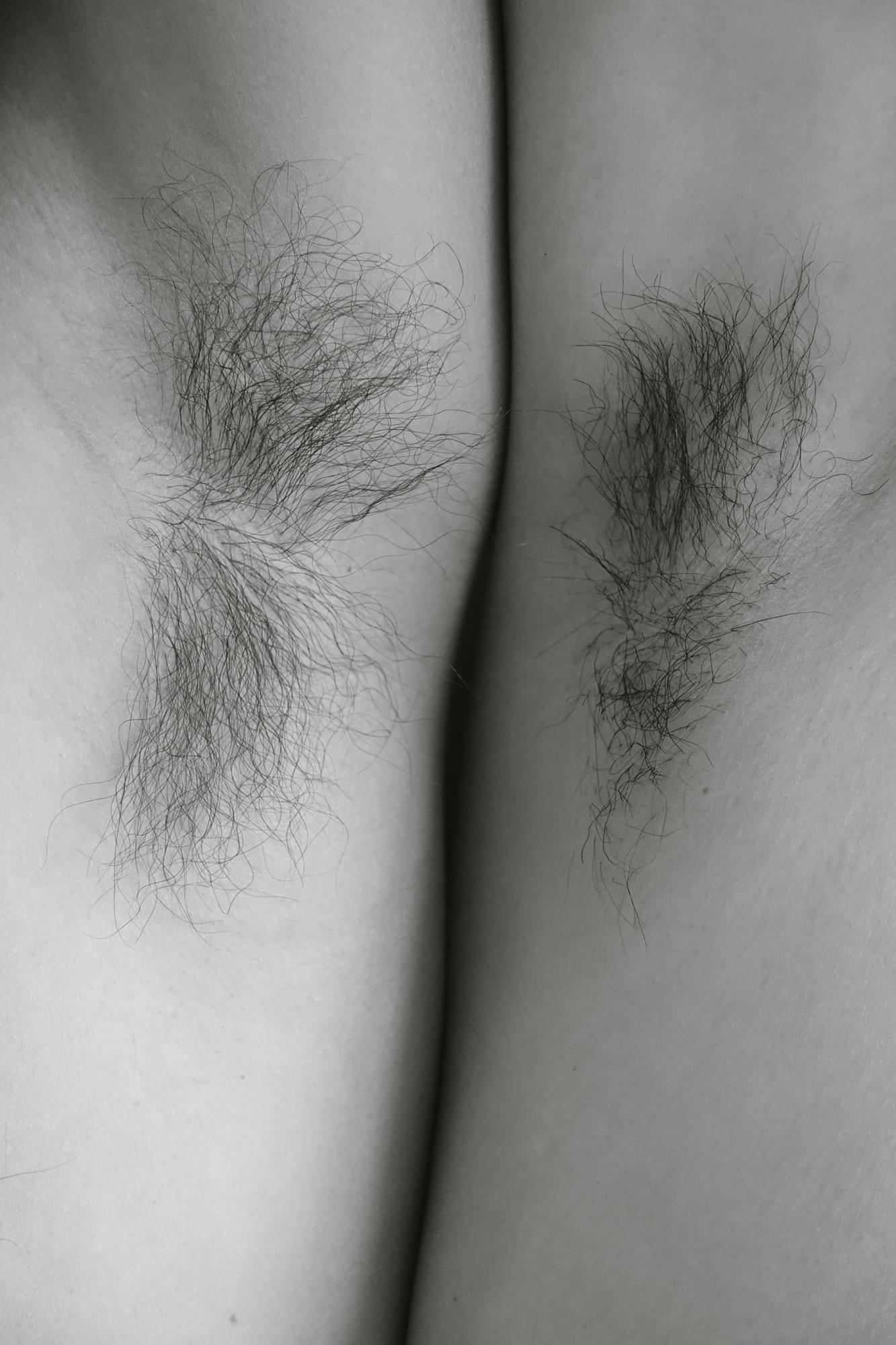 Pablo's Birthday x rent free project