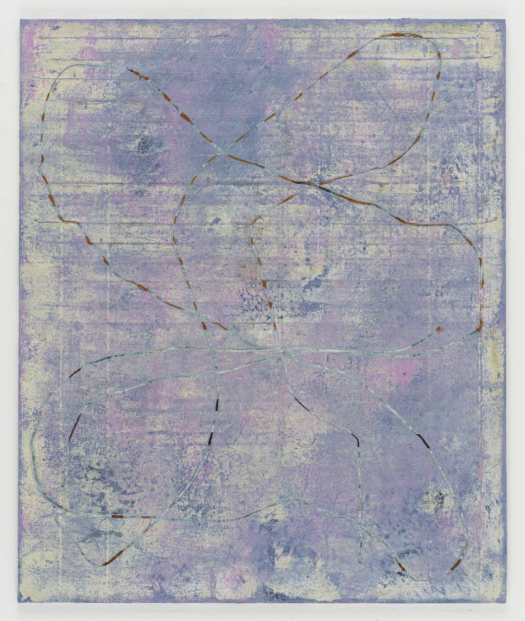 C.’s butterfly, 2025