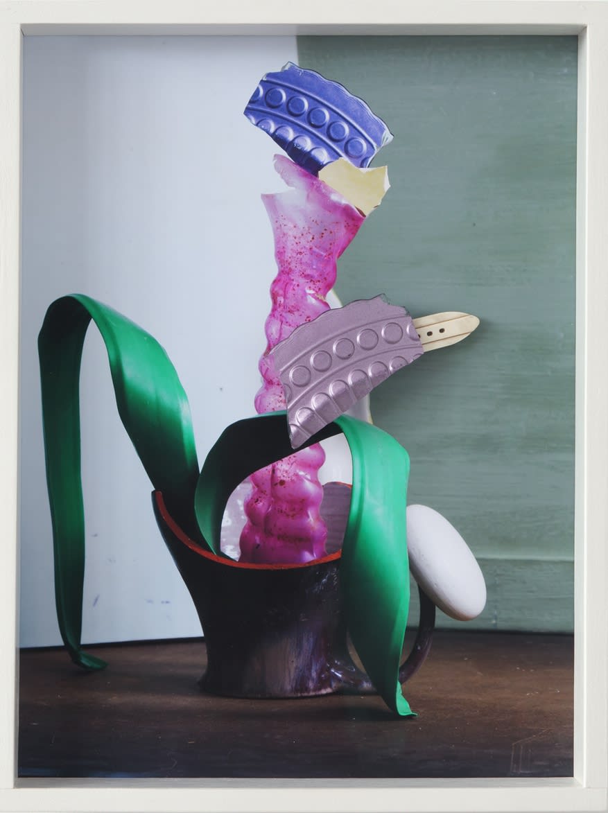 Thorsten Brinkmann Vildolency, 2024 Archival pigment print and found objects 13 1/4 x 17 1/8 x 3 1/8 in 33.5 x 43.5 x 8 cm