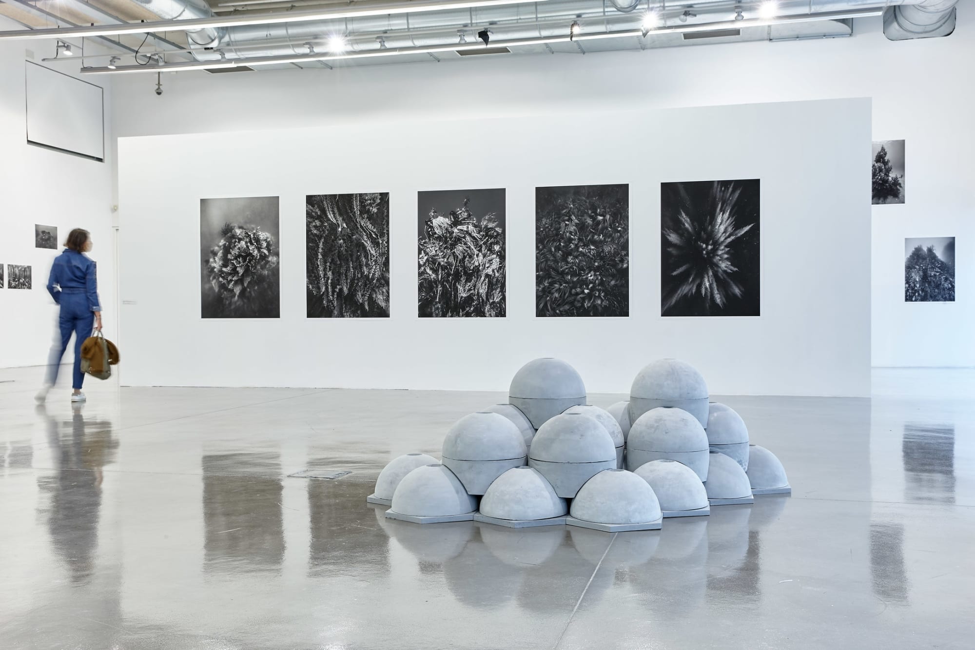 Paysages productifs du 25 septembre 2020 au 26 avril 2021, Frac Provence-Alpes-Côte d’Azur, vue d'exposition © Laurent Lecat