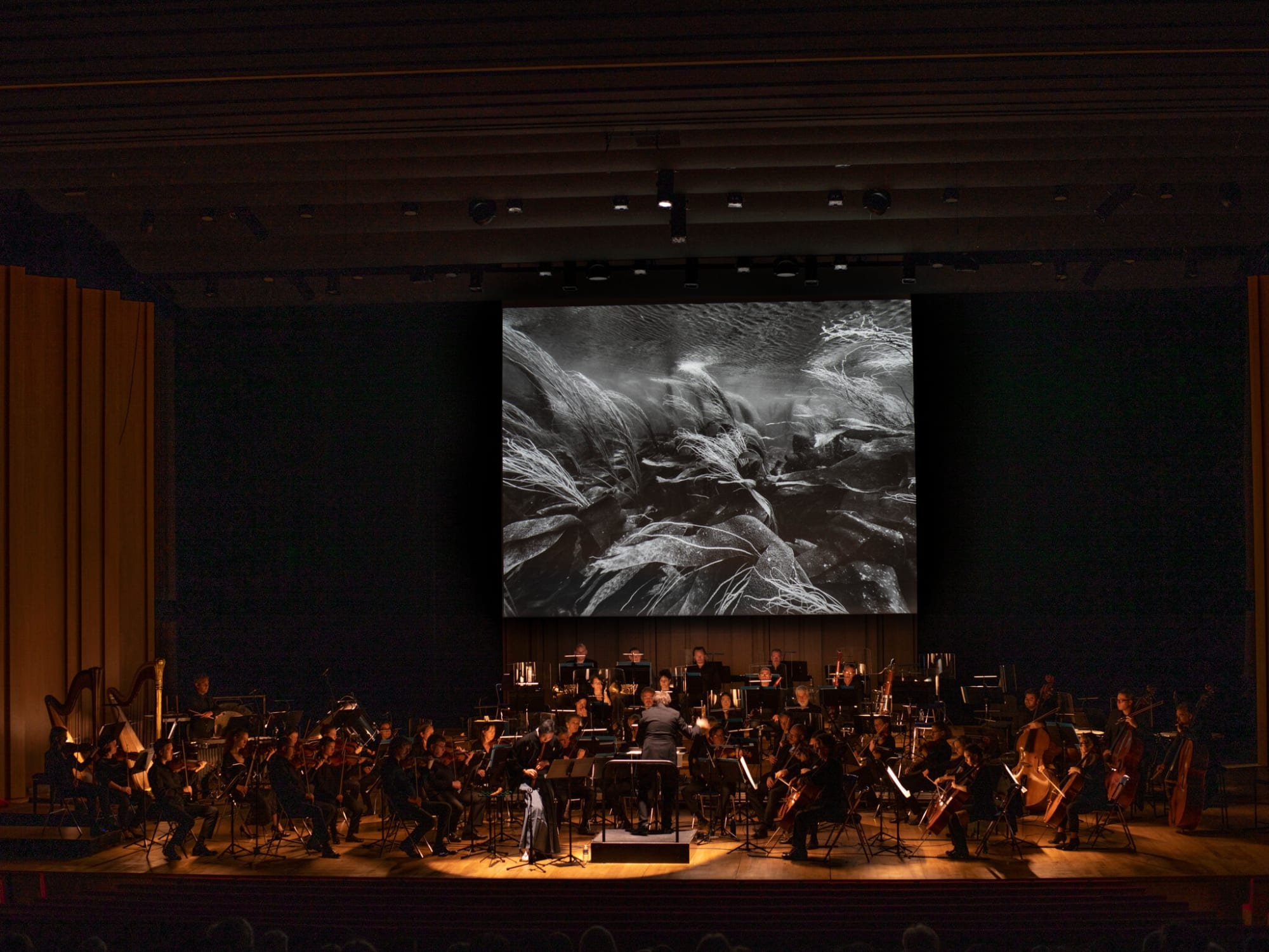 Initium Maris, photographies projetées de Nicolas Floc'h, mise en musique pour shakuachi par le compositeur Dai Fujikura, et interprété par Kenichi Tajima (soliste shakuhachi) et l'Orchestre national de Bretagne