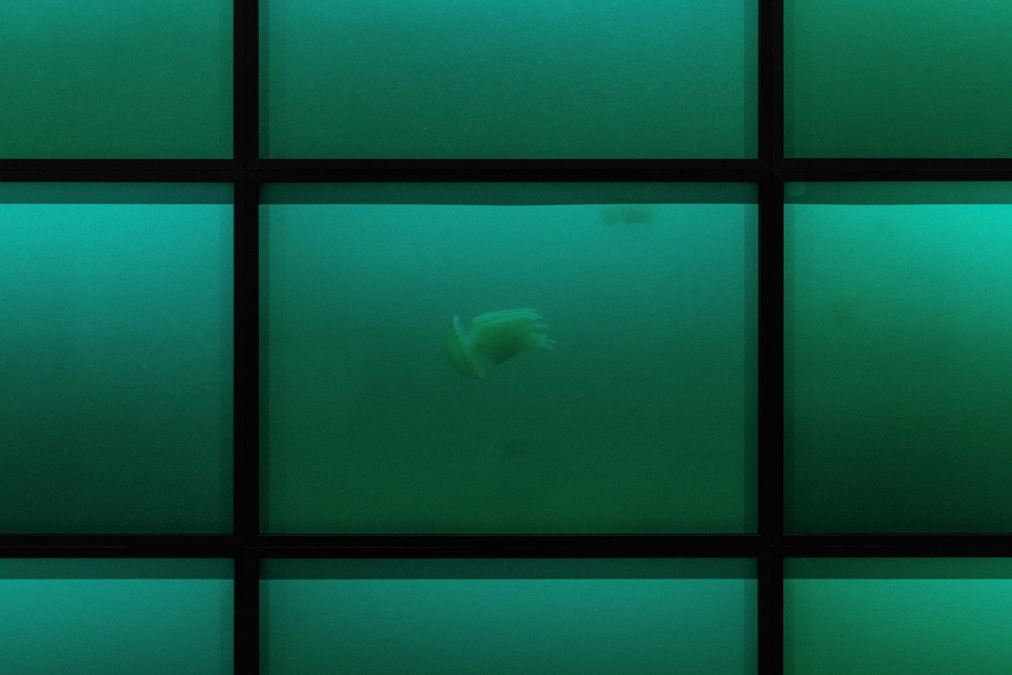 La Couleur de l’eau, colonnes d’eau, Tage, 2022. Vue d’exposition, Mar Aberto, MAAT, Lisbonne, 2024. © Pedro Pina