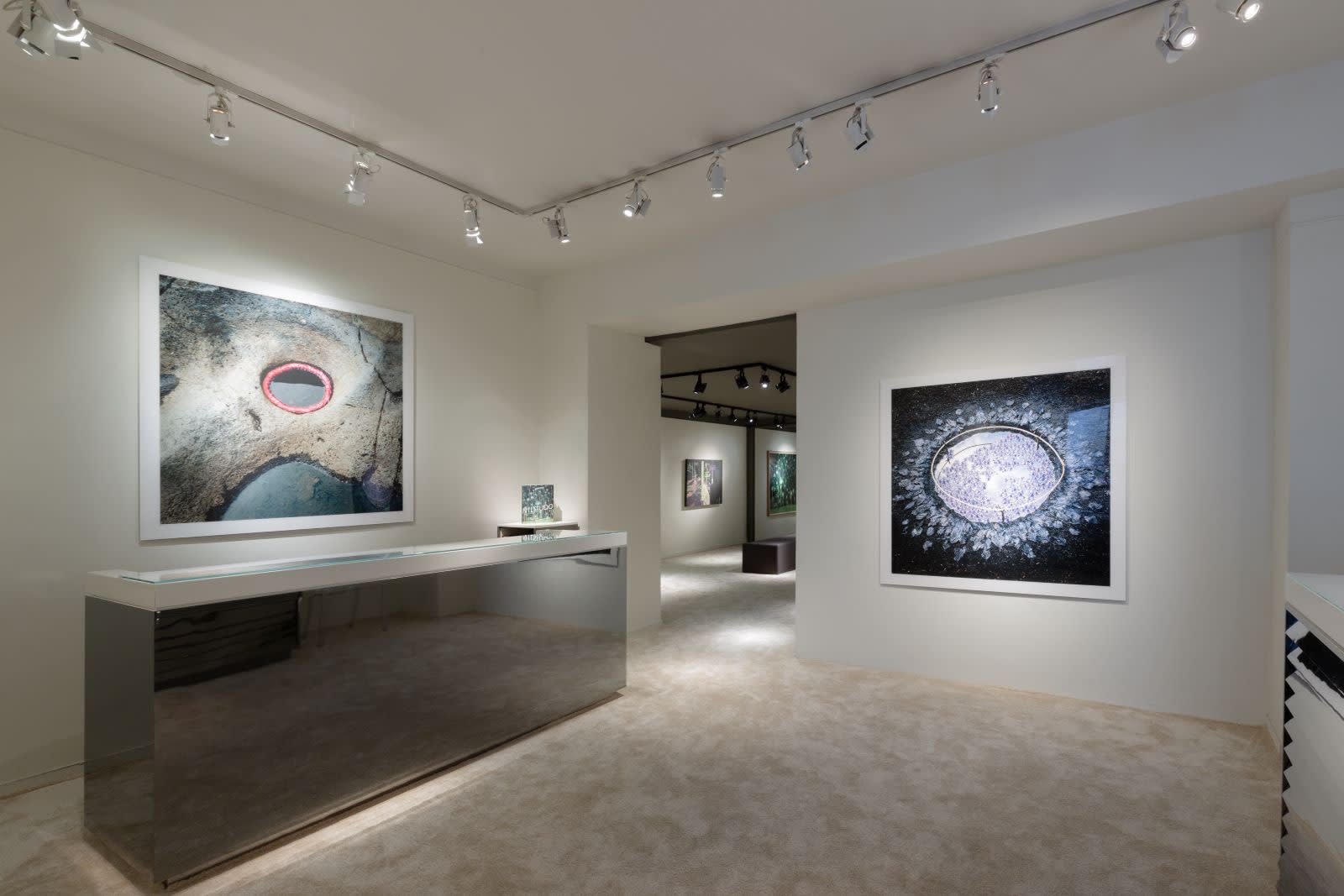 NILS-UDO - vue de l'exposition "NILS-UDO Peintures et Photographies", 2023. Solo show, Galerie Pierre-Alain Challier, Paris. Courtesy Galerie Pierre-Alain Challier