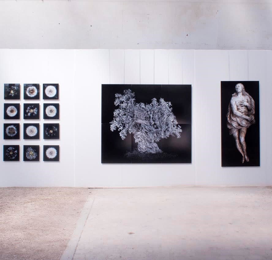 Antoine Schneck, vue d'exposition à l'Orangerie du Sénat, Jardin du Luxembourg, 2011. © Antoine Schneck