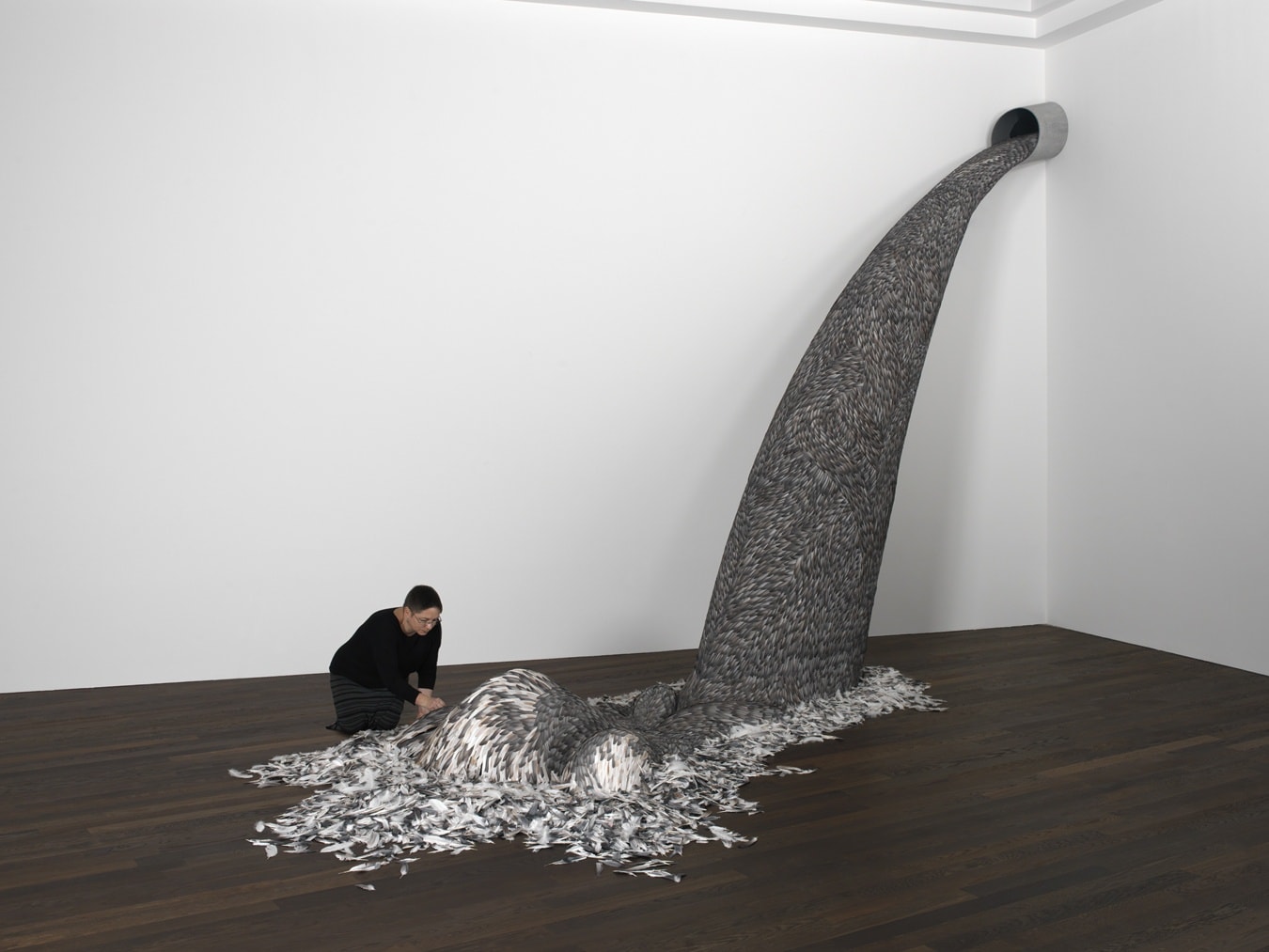 DISCHARGE, 2015 Mixed media installation with pigeon feathers 480 x 370 x 70 cm (approximately)