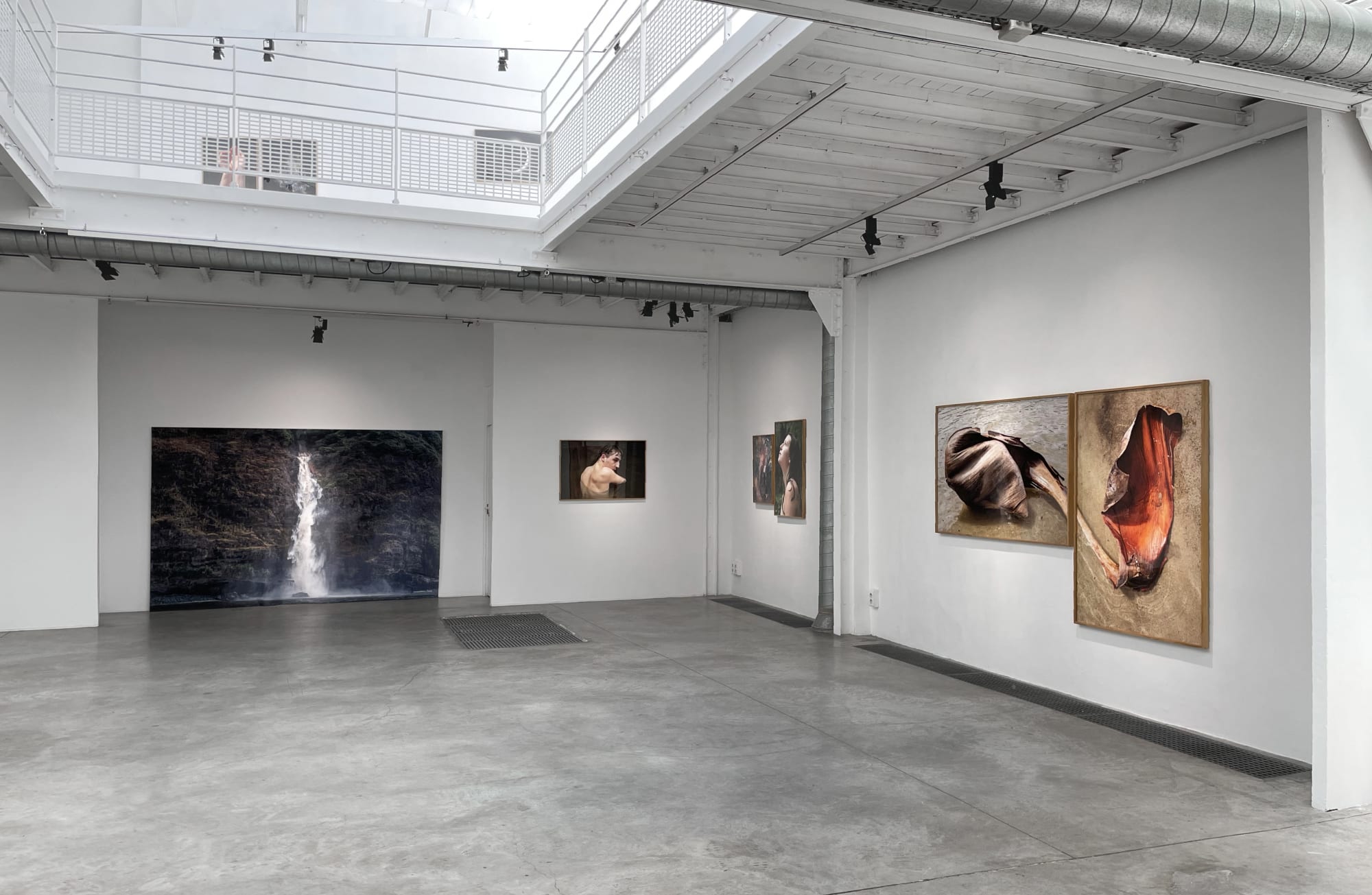 Sandra Rocha | Le moindre souffle