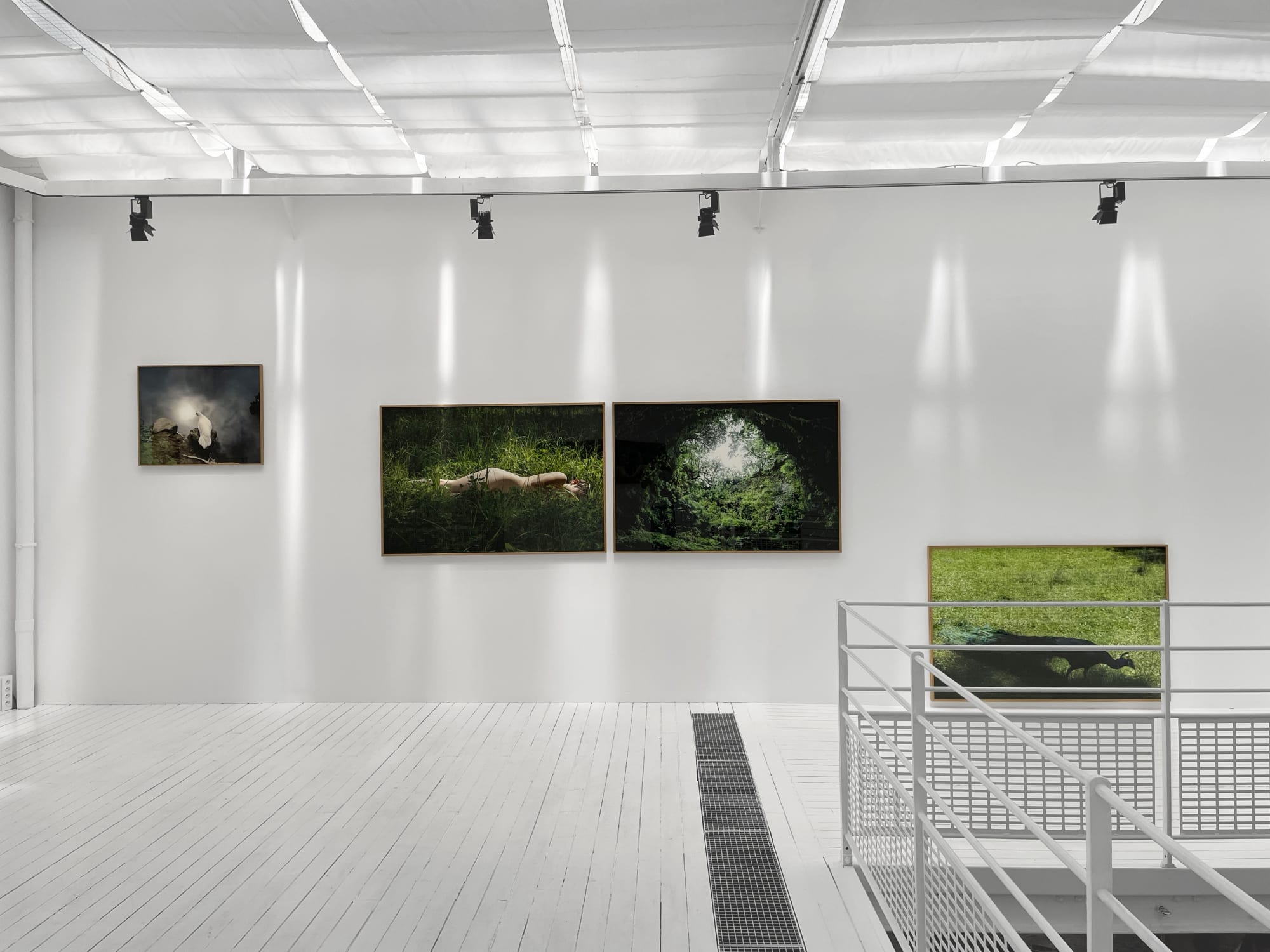 Sandra Rocha | Le moindre souffle