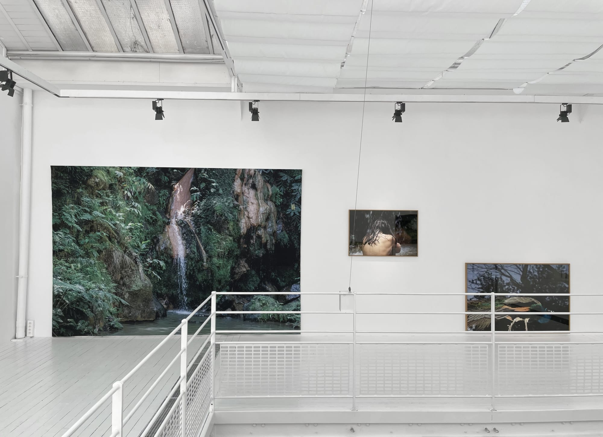 Sandra Rocha | Le moindre souffle