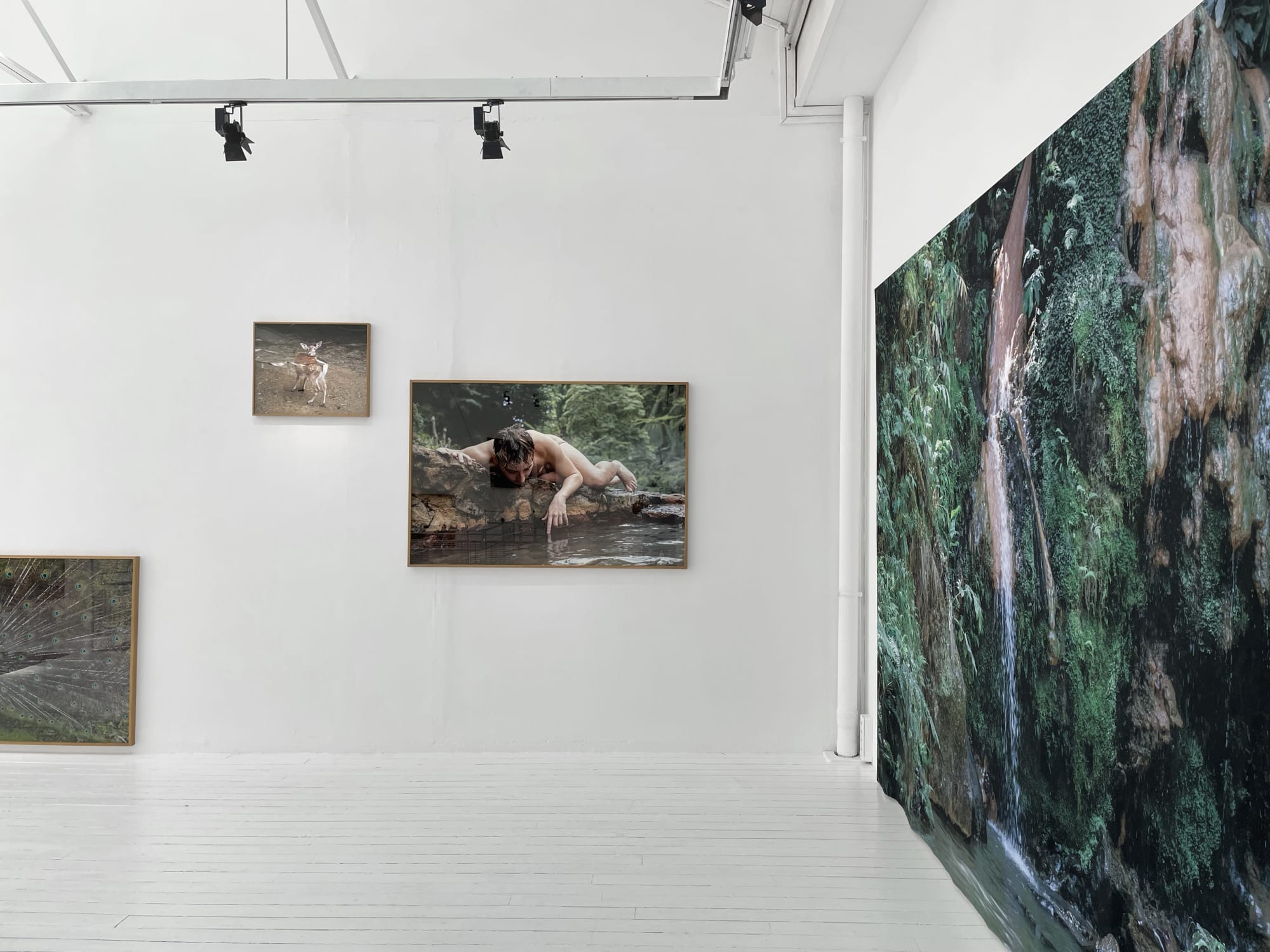 Sandra Rocha | Le moindre souffle