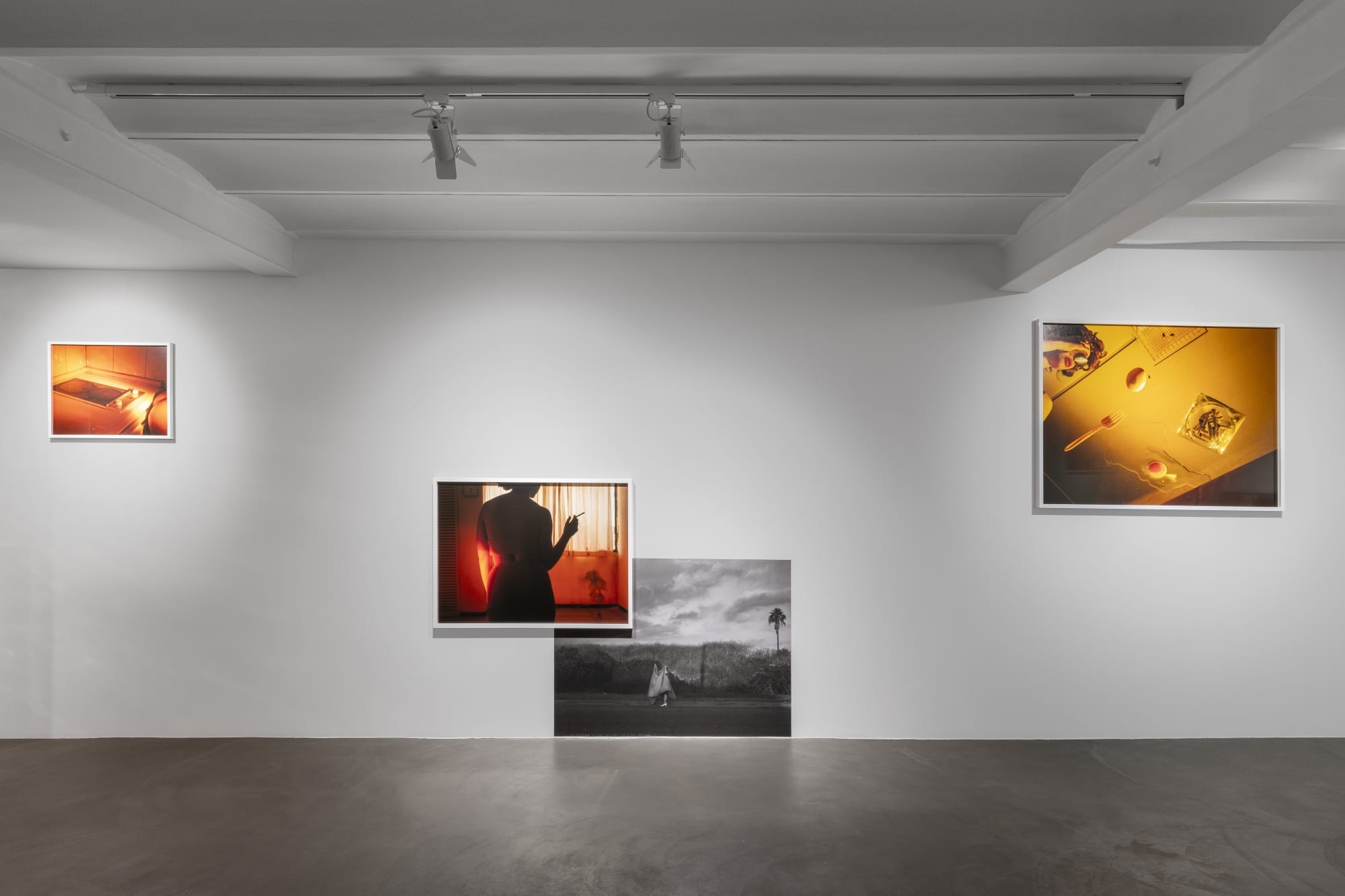 Tania Franco Klein | Break in case of emergency