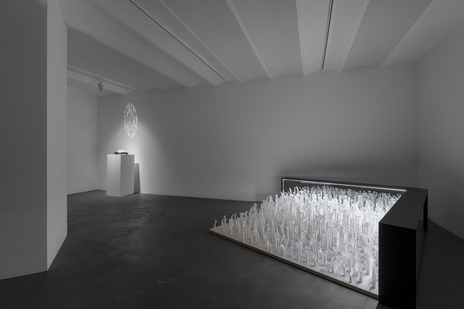 Kate MccGwire | GLITCH