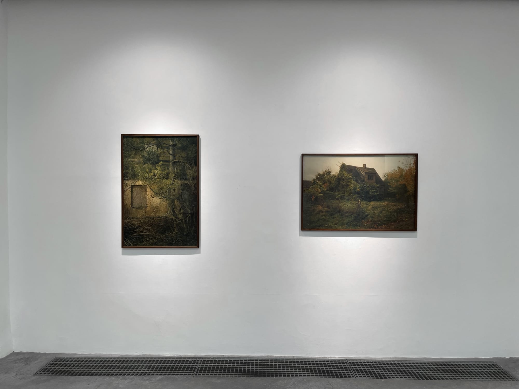 Matt Wilson Hinterland