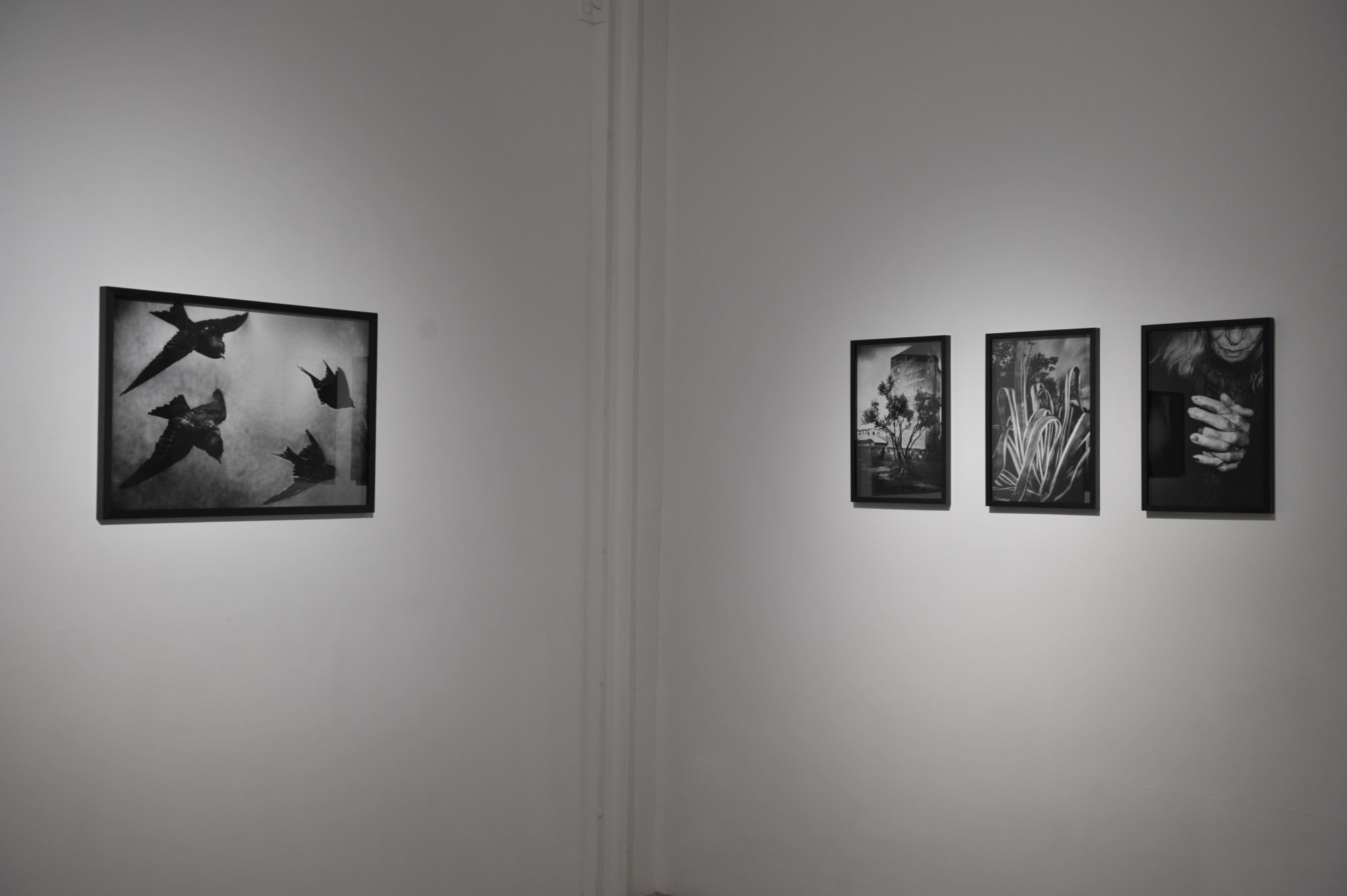 Yusuf Sevinçli | Oculus