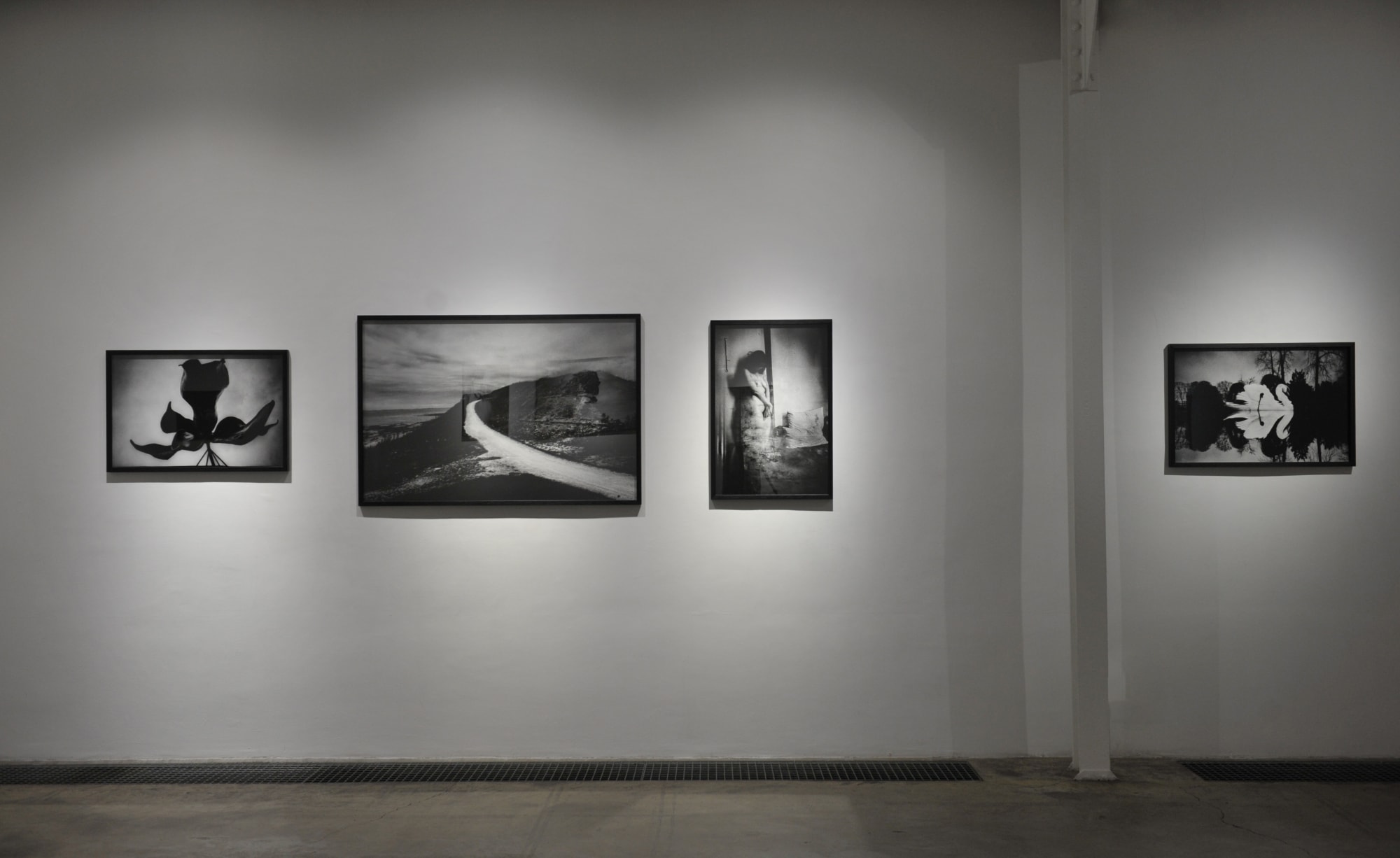 Yusuf Sevinçli | Oculus