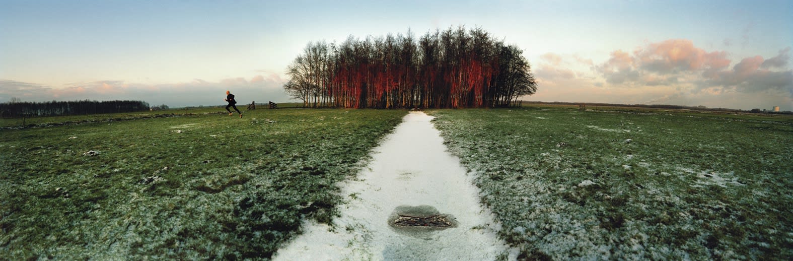 Ellen Kooi | Travaux Récents