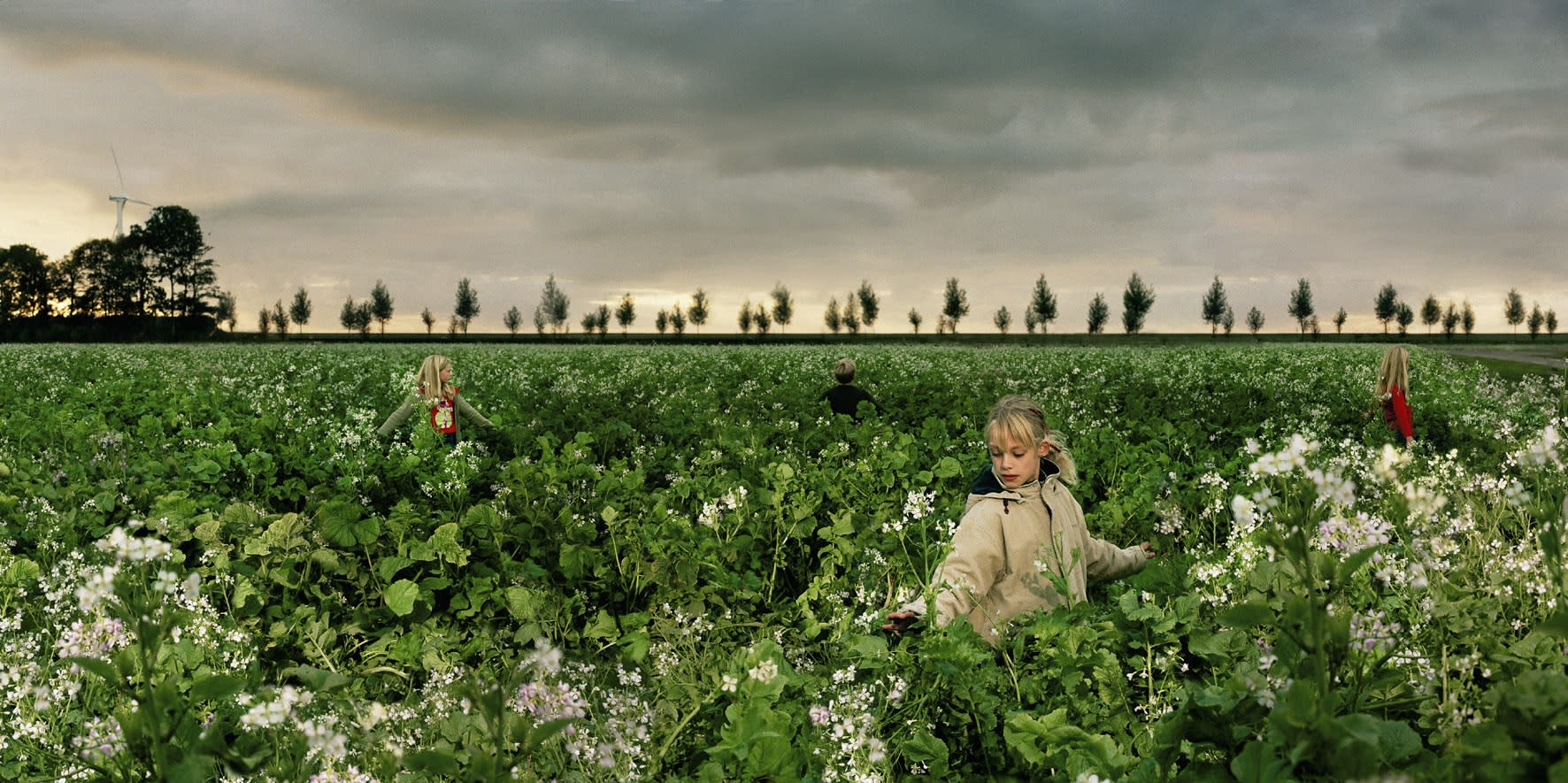 Ellen Kooi | Travaux Récents